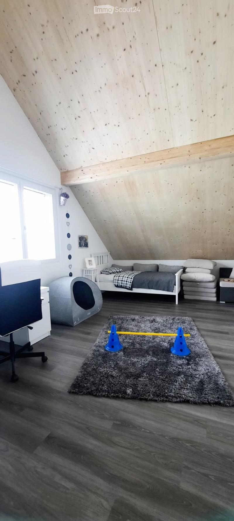 Modern attic bedroom with wooden slanted ceilings, large windows, a white sofa bed, a grey cat bed, a small table, and a dark grey rug with blue cones.