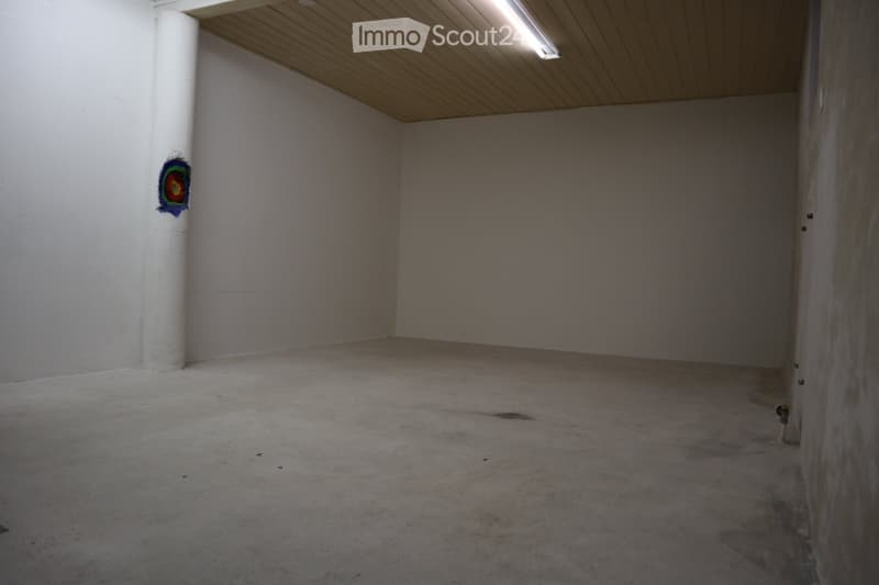 Empty room with bare walls and concrete floor, featuring a single light fixture on the ceiling and a small decorative piece on one wall.