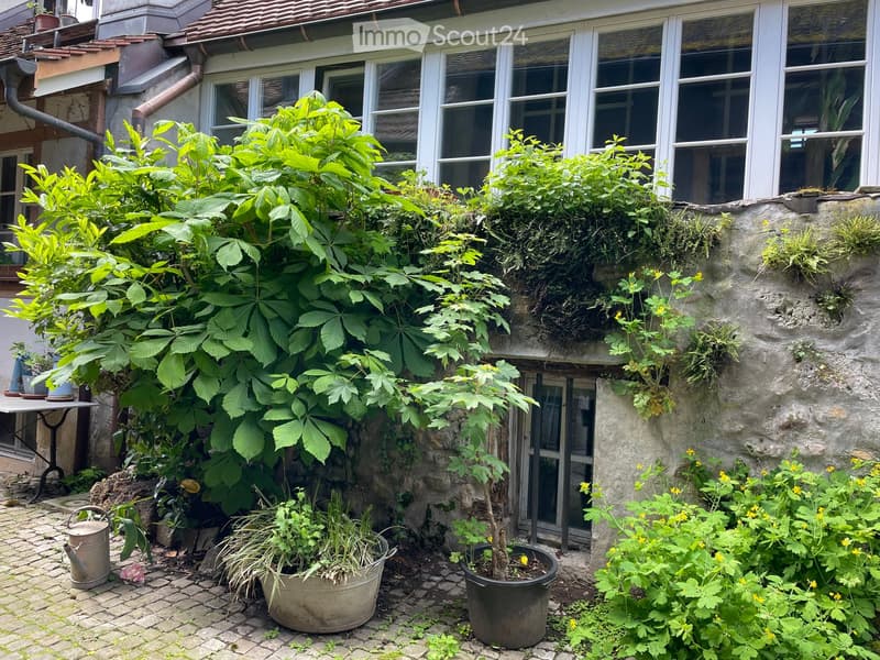 Garden area with lush green plants, climbing vines, potted plants, and a small table with potted plants on a brick-paved ground.
