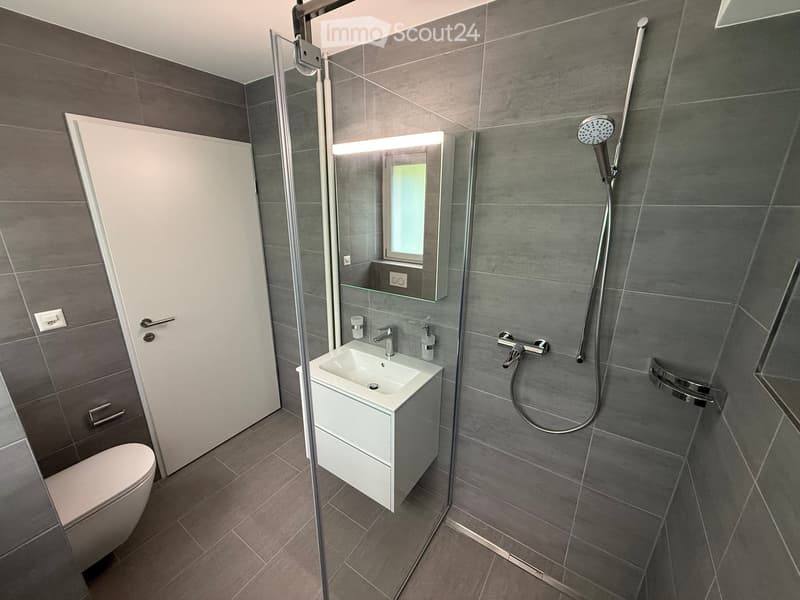 Modern bathroom with grey tiles, white sink, toilet, and a glass-enclosed shower with a handheld showerhead.