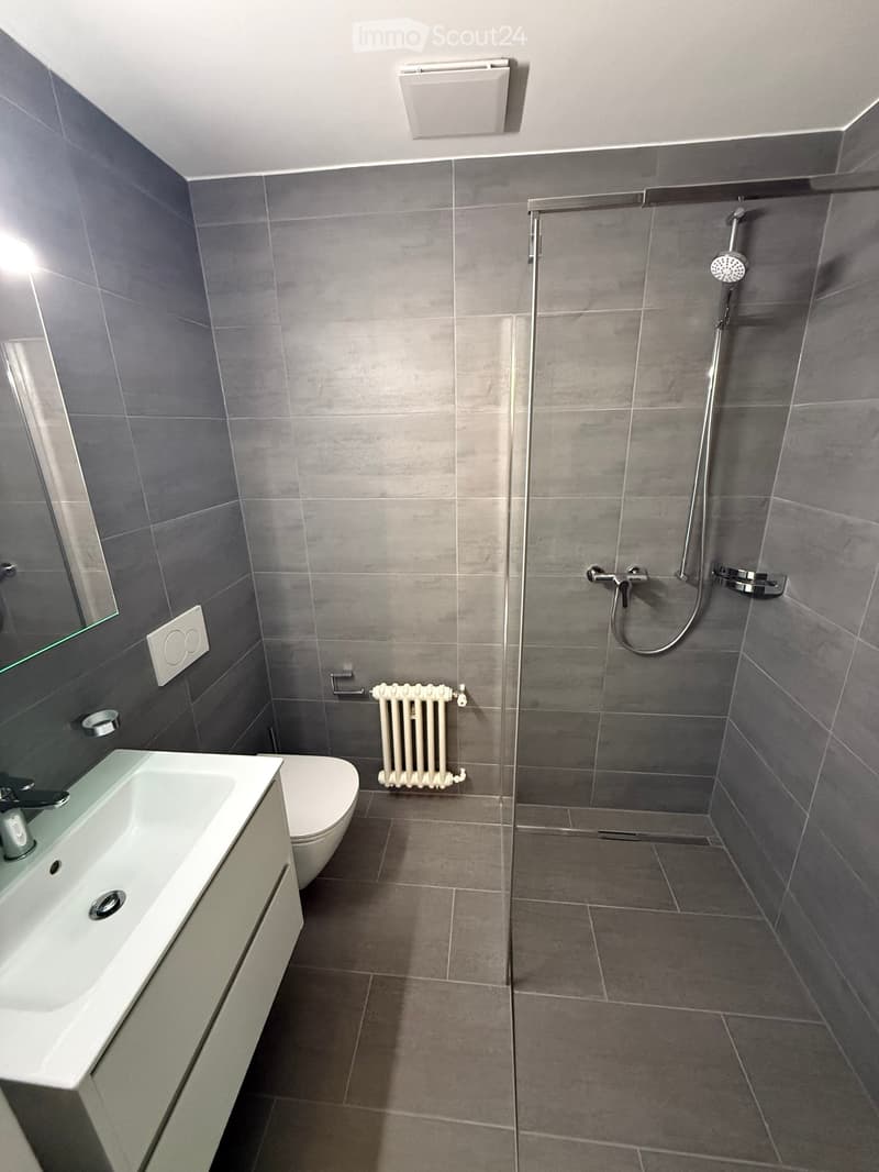 Modern bathroom with grey tiles, a white sink, toilet, radiator, and a glass-enclosed shower area.