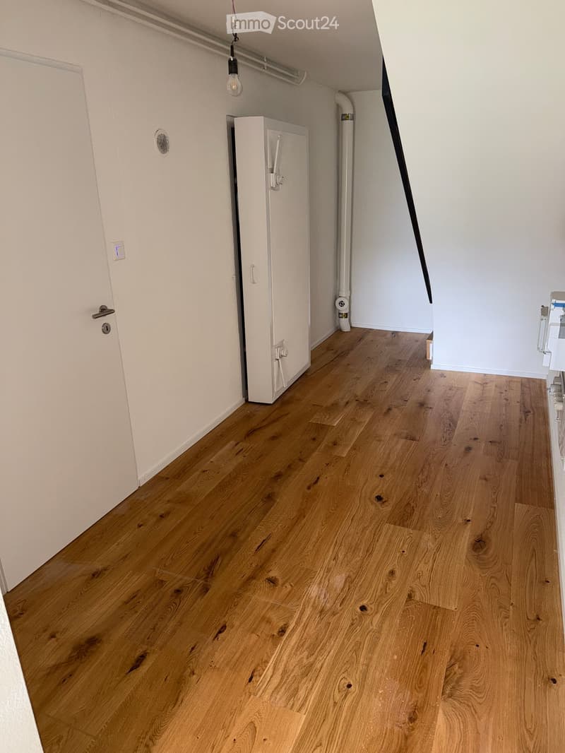 Empty room with light wooden flooring and white walls, featuring a small closet and a light fixture on the ceiling.
