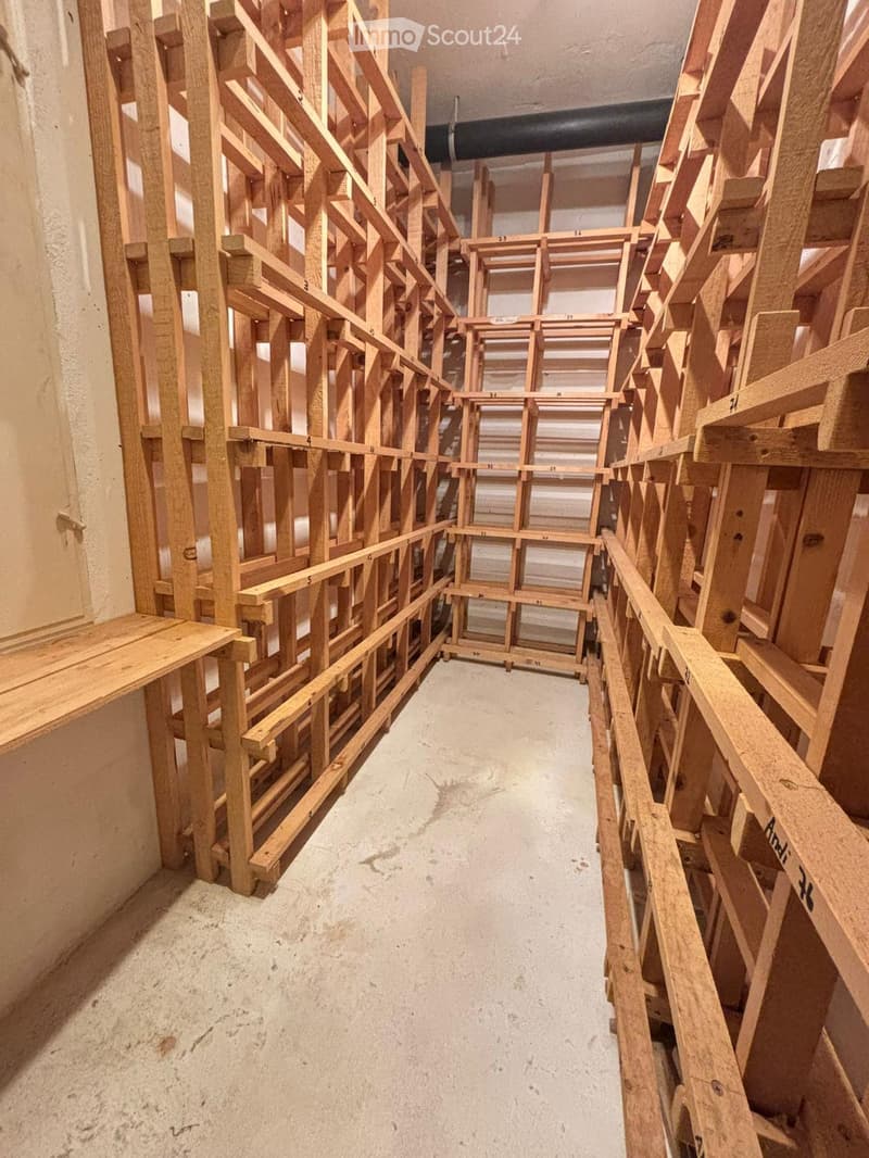 Empty hallway with unfinished wooden scaffolding on both sides and a concrete floor.
