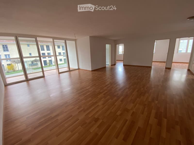 Empty room with wooden flooring, large windows, and multiple doors leading to other spaces.