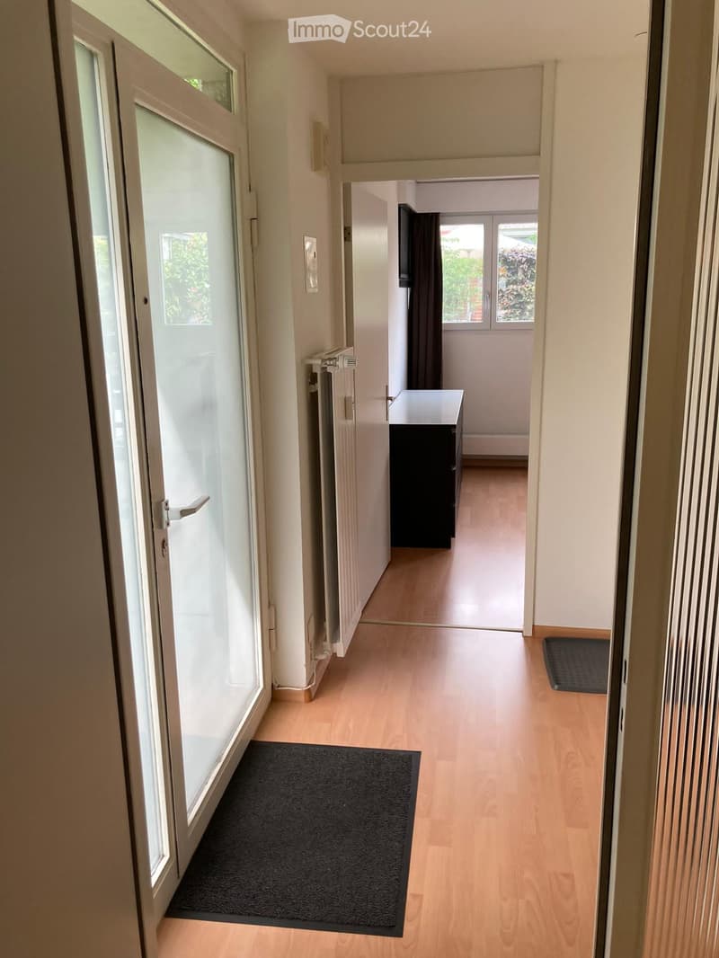 A clean, well-lit hallway with wooden flooring, white walls, and a black doormat near the entrance. A radiator is visible on the left wall, and a small black cabinet is seen at the end of the hallway.