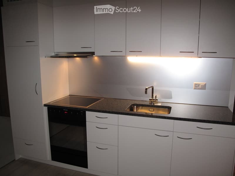 Modern kitchen with white cabinets, stainless steel sink, induction cooktop, and built-in oven.