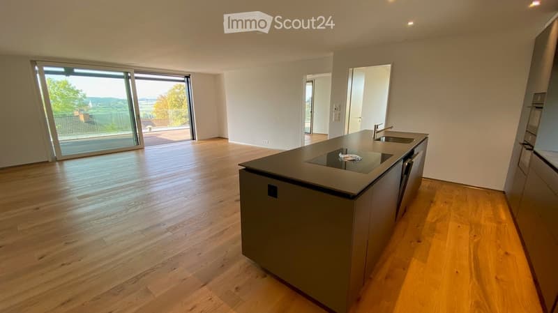 Modern kitchen with wooden flooring, large island, sink, and sliding glass door leading to outdoor area.