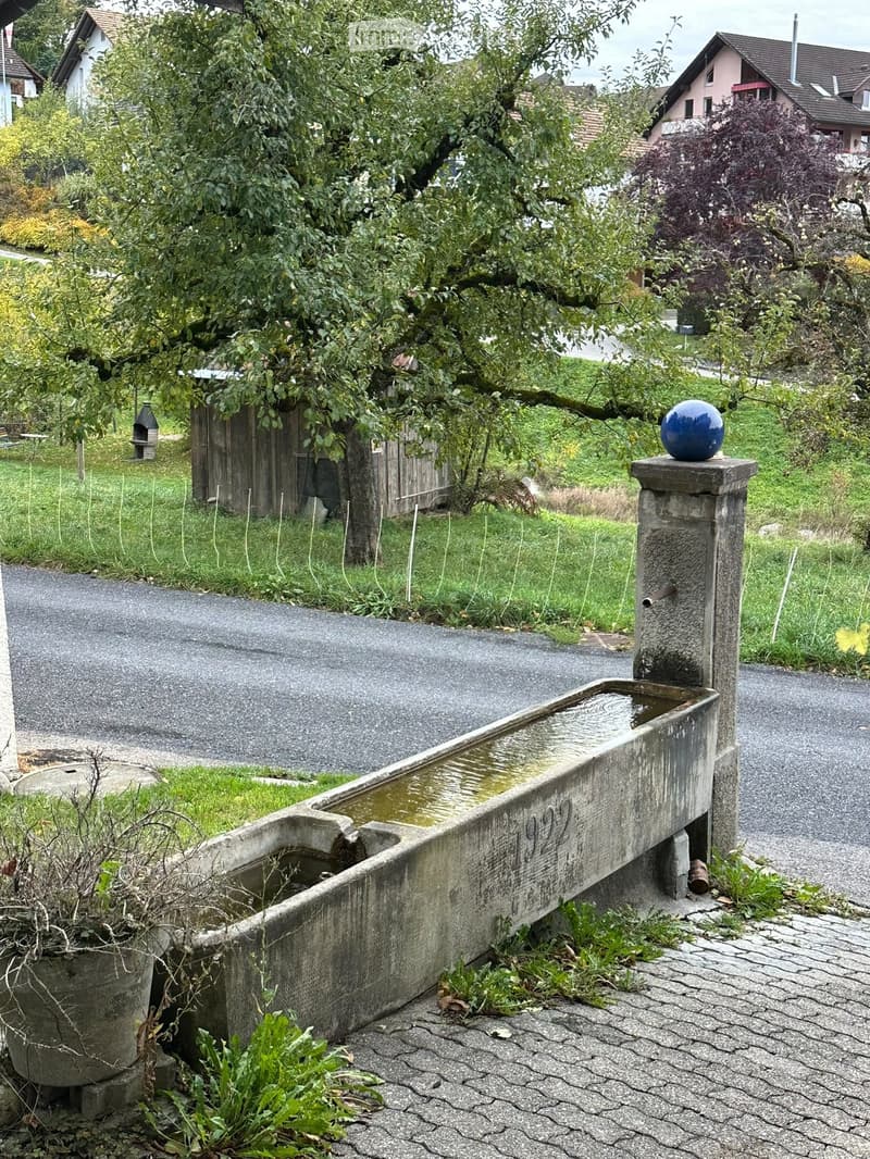A stone water trough with a blue sphere on a pedestal, surrounded by greenery and a paved pathway.