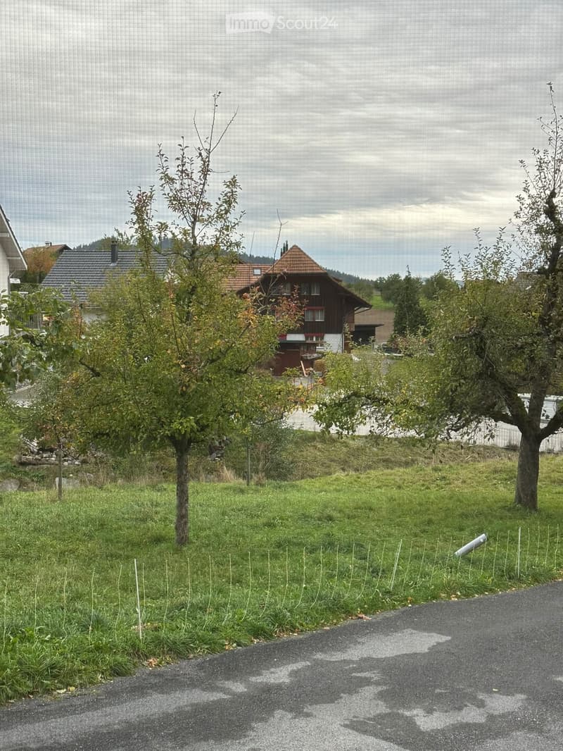 A rural scene with a traditional wooden house, surrounded by trees and a grassy lawn, under an overcast sky.