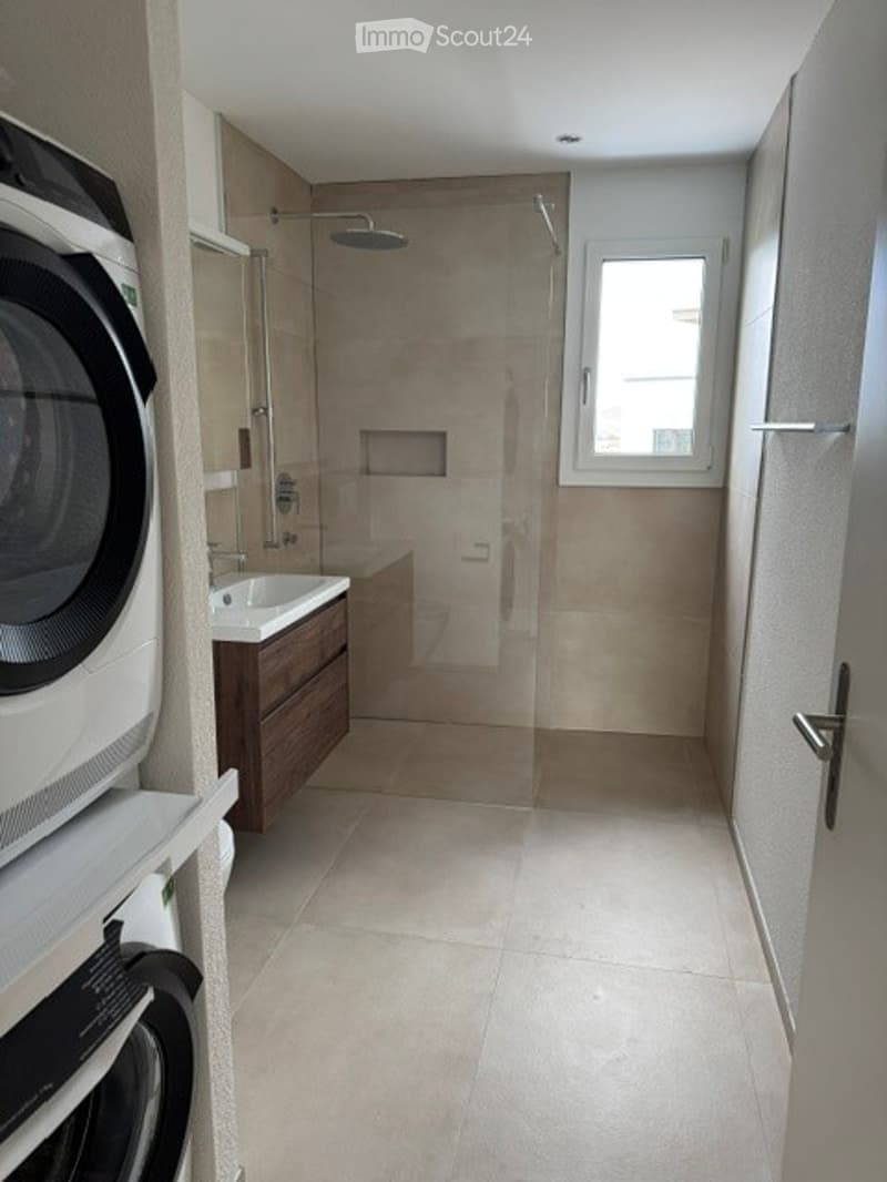 Modern bathroom with a glass-enclosed shower, a sink with a faucet, and a private washing machine in the corner.