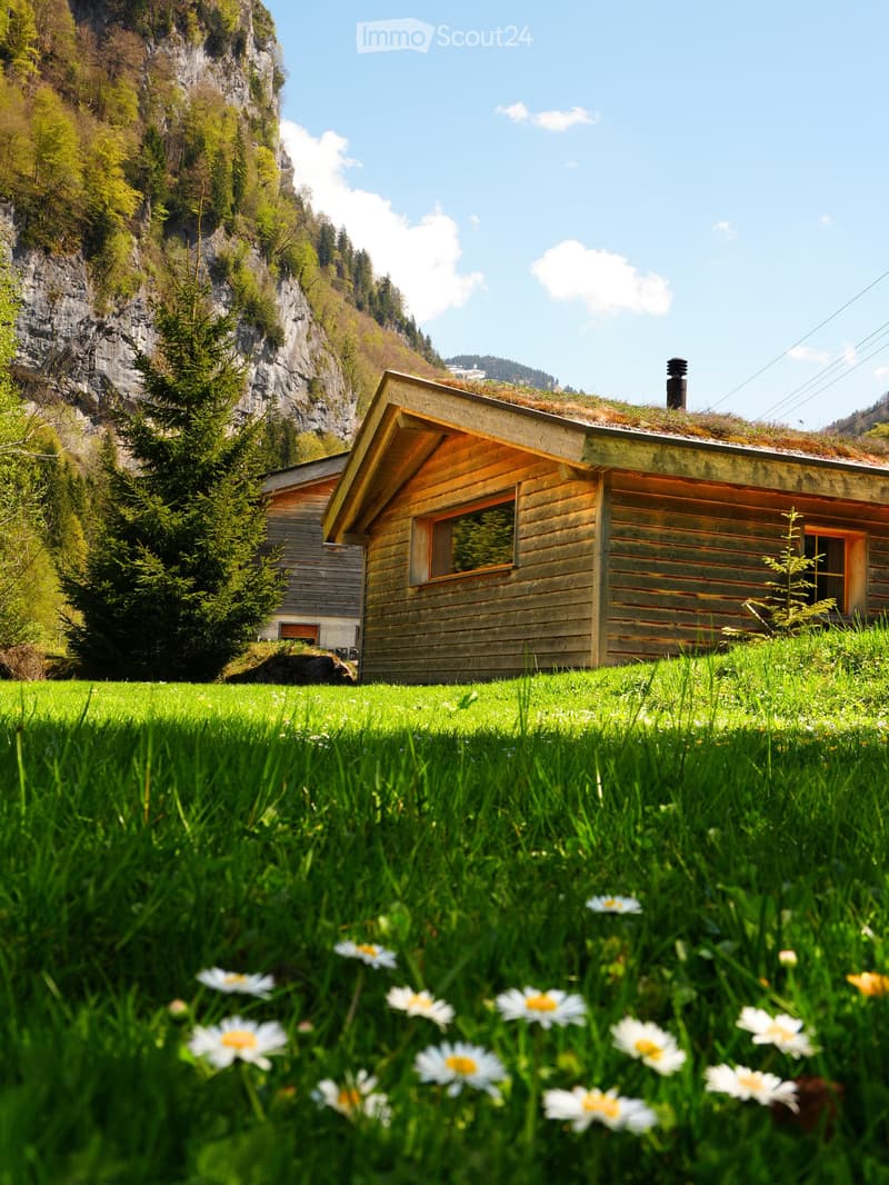 A wooden cabin with a green roof, situated in a grassy field with wildflowers and surrounded by trees and a rocky mountain backdrop.