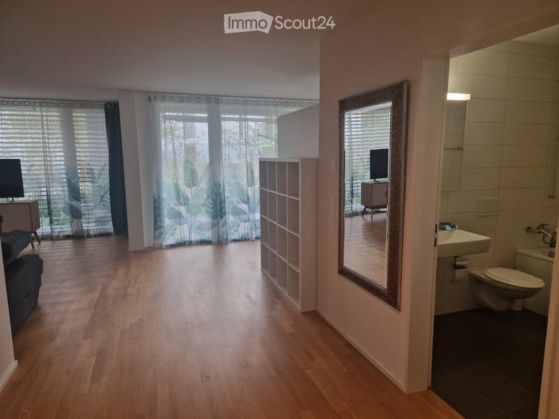 Bright, open living space with wooden flooring, large windows with blinds, a sofa, TV, and a connected bathroom with a sink, toilet, and mirror.