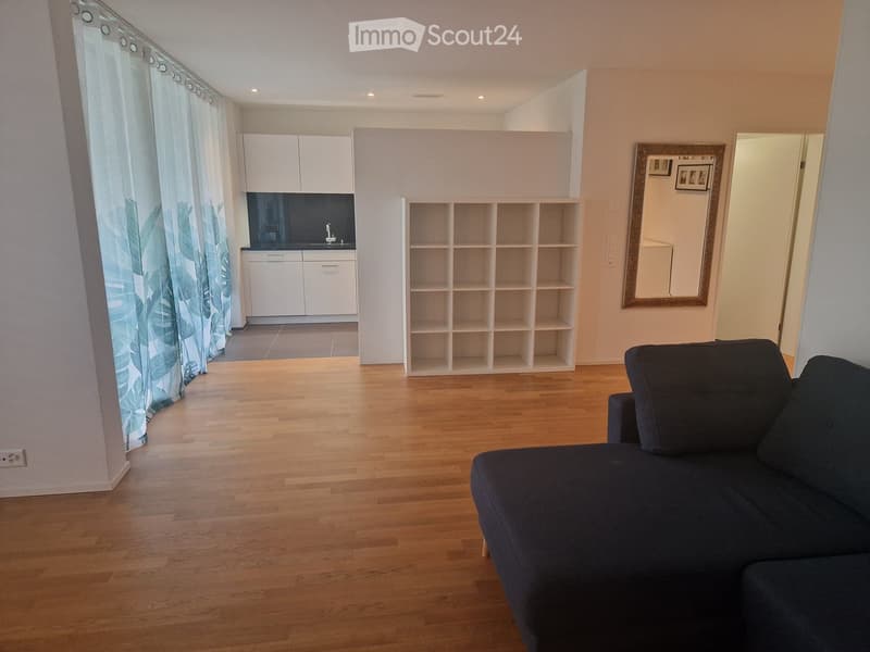 Modern living room with hardwood flooring, a dark blue sofa, a white kitchen area with cabinets and a sink, a large shelf unit, and a mirror on the wall.