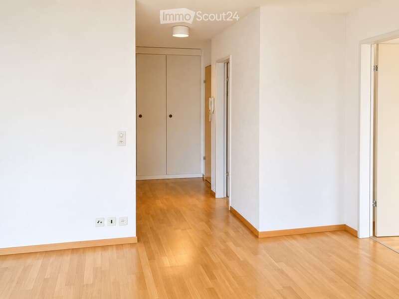 Empty hallway with light wooden flooring, white walls, and a closed closet door at the end.