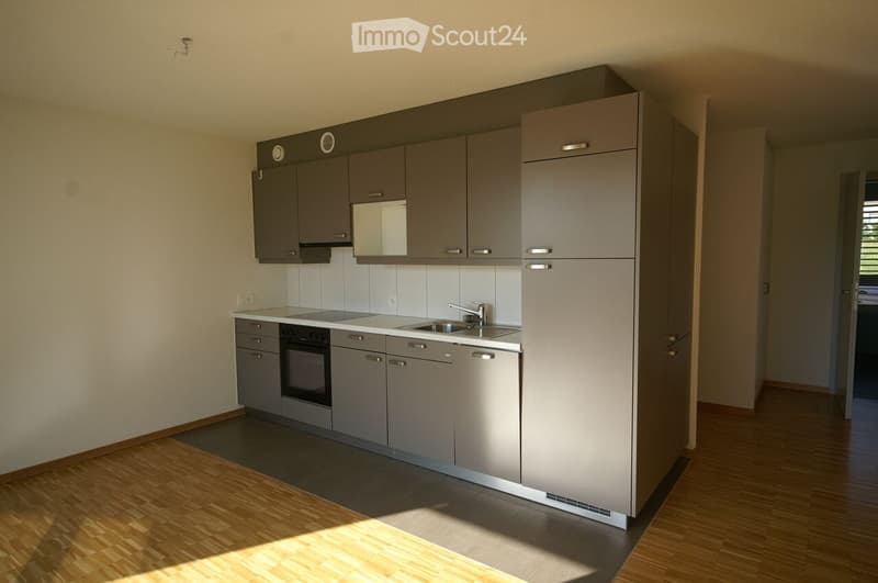 Modern kitchen with grey cabinets, stainless steel appliances, wooden flooring, and a sink with a faucet.