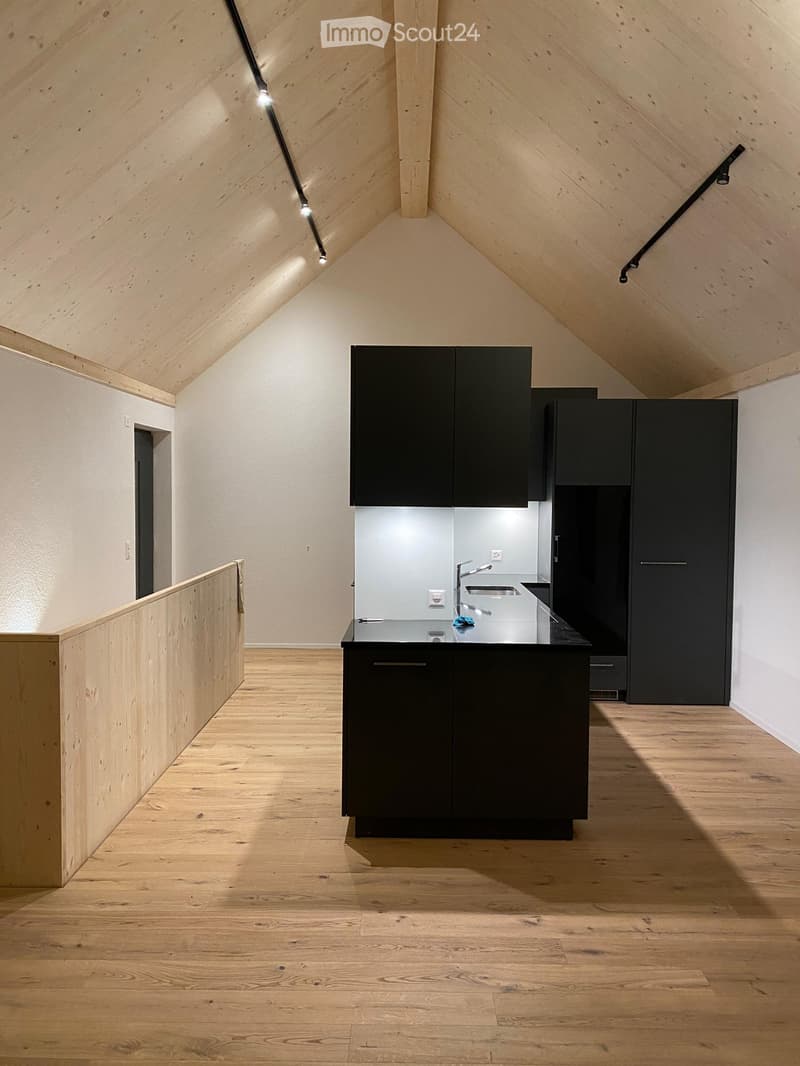 Modern kitchen with sleek black cabinets, a stainless steel sink, and warm wooden flooring under a sloped ceiling with integrated lighting.