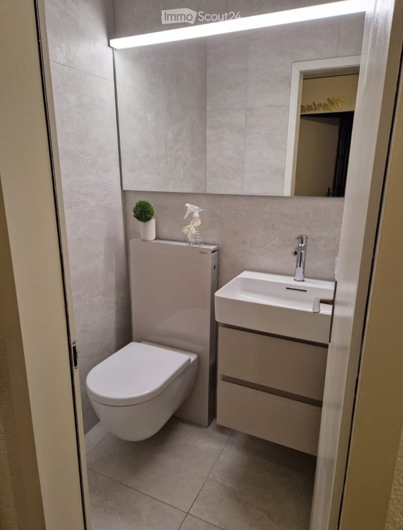 Modern bathroom with a toilet, sink, and mirror. Features a sleek, contemporary design with a built-in cabinet under the sink and a small potted plant on the toilet tank.
