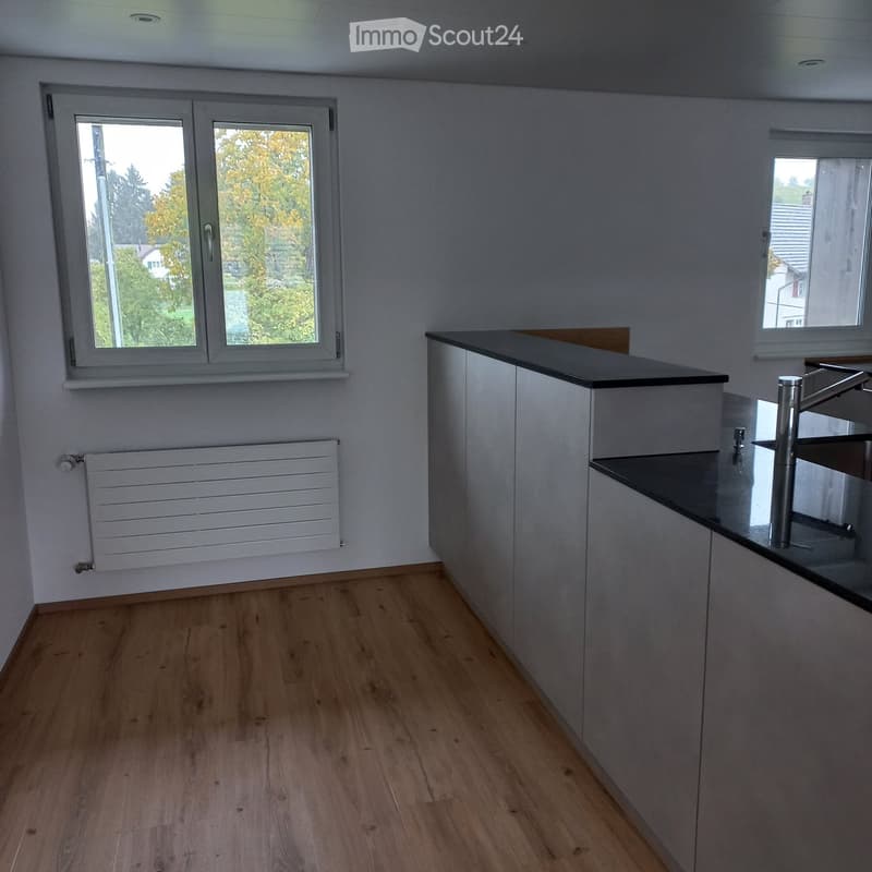 Empty kitchen with light wooden flooring, white cabinets, and a black countertop. Two windows provide natural light, and a radiator is mounted on the wall.