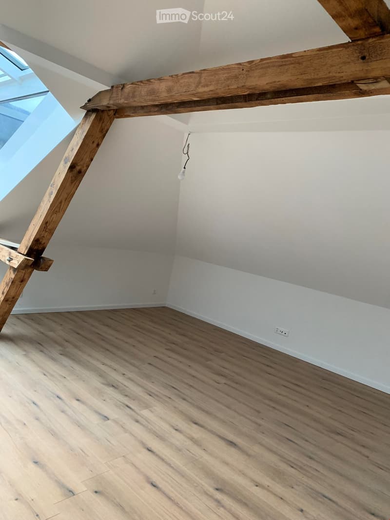 Magnifique appartement mansardé à louer (5)