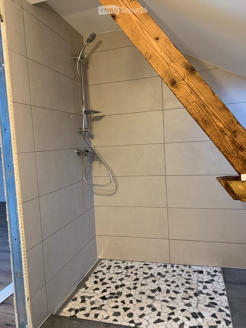 Magnifique appartement mansardé à louer (9)
