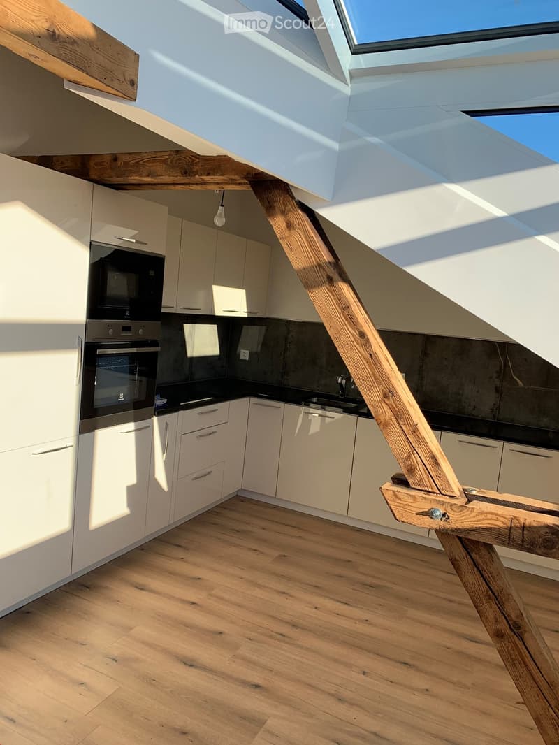 Magnifique appartement mansardé à louer (4)