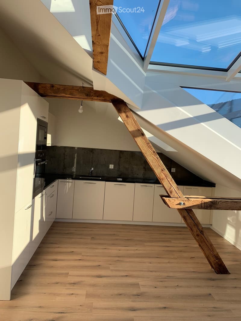 Magnifique appartement mansardé à louer (3)