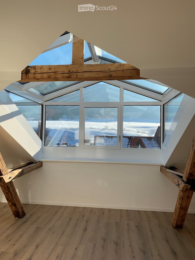 Magnifique appartement mansardé à louer (2)