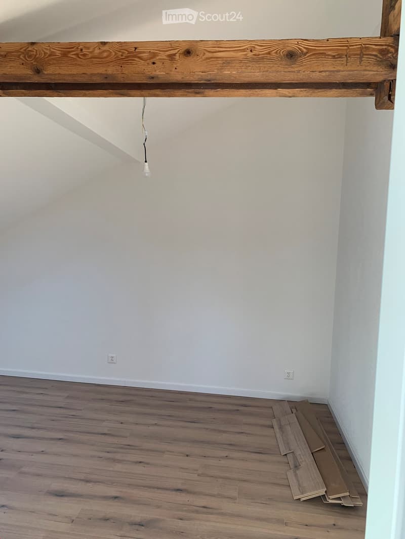 Magnifique appartement mansardé à louer (6)