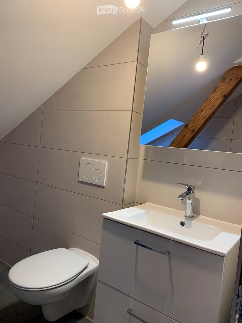Magnifique appartement mansardé à louer (8)