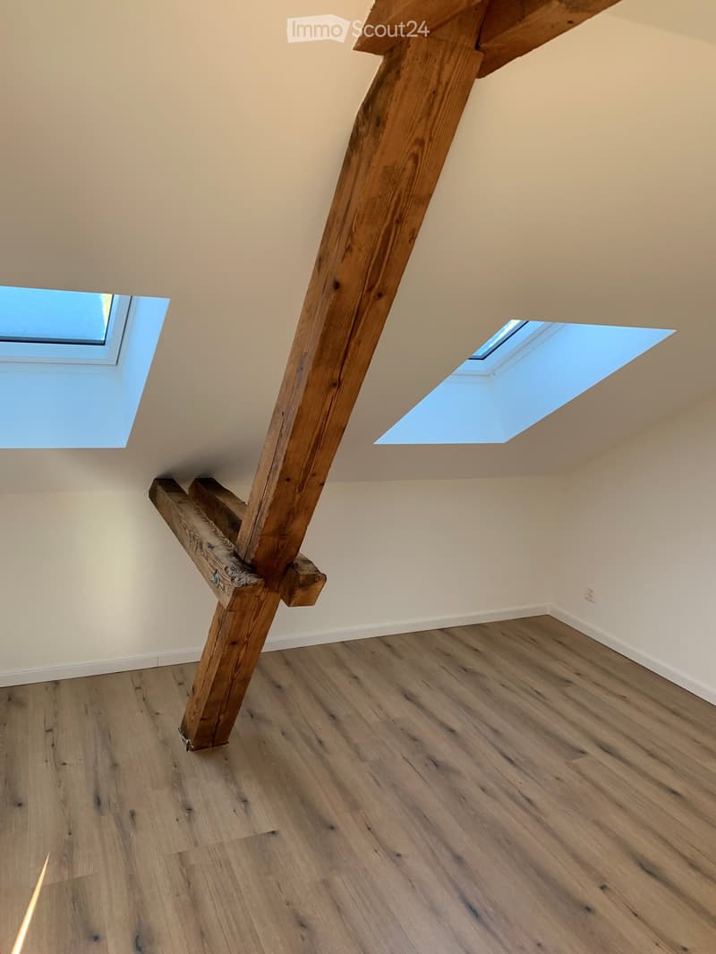 Magnifique appartement mansardé à louer (7)