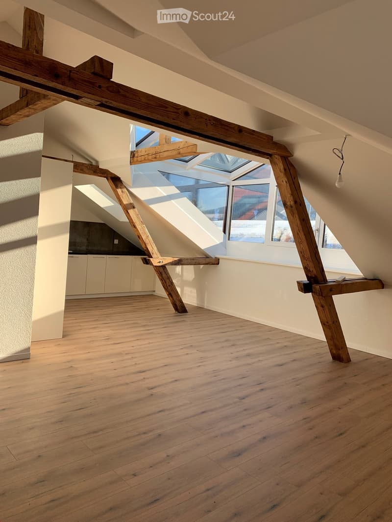 Magnifique appartement mansardé à louer (1)