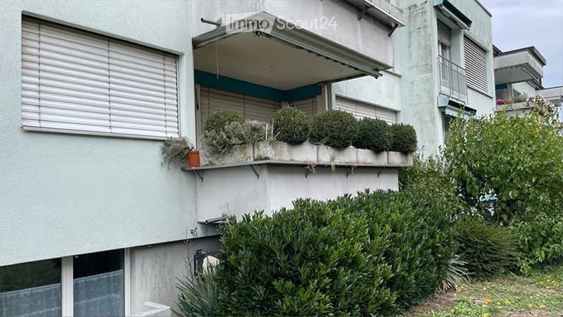 Balcony with multiple potted plants and shrubs, featuring a white railing and closed blinds.