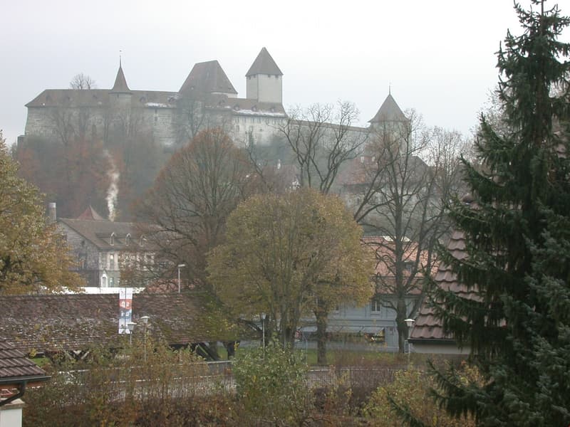 A historic castle with multiple towers and spires, surrounded by trees and smaller buildings in a misty setting.