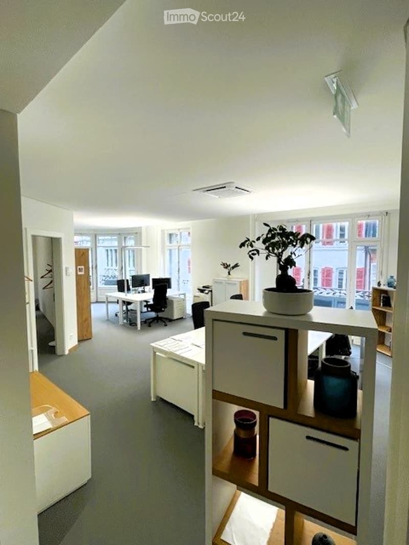 Modern office space with white walls, grey carpet, desks, chairs, computer monitors, and a potted plant on a shelf.