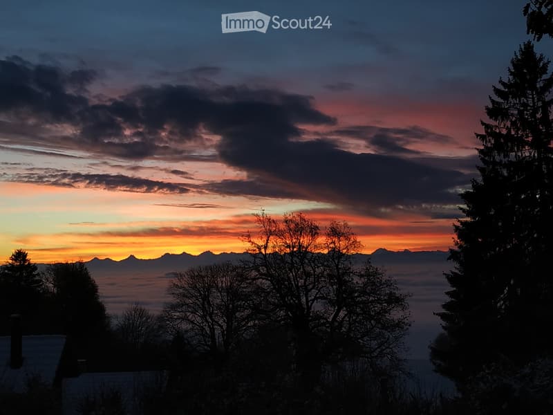 A serene outdoor view at sunset, featuring a vibrant sky with hues of orange, pink, and purple, silhouetted trees in the foreground, and distant mountains partially obscured by clouds.
