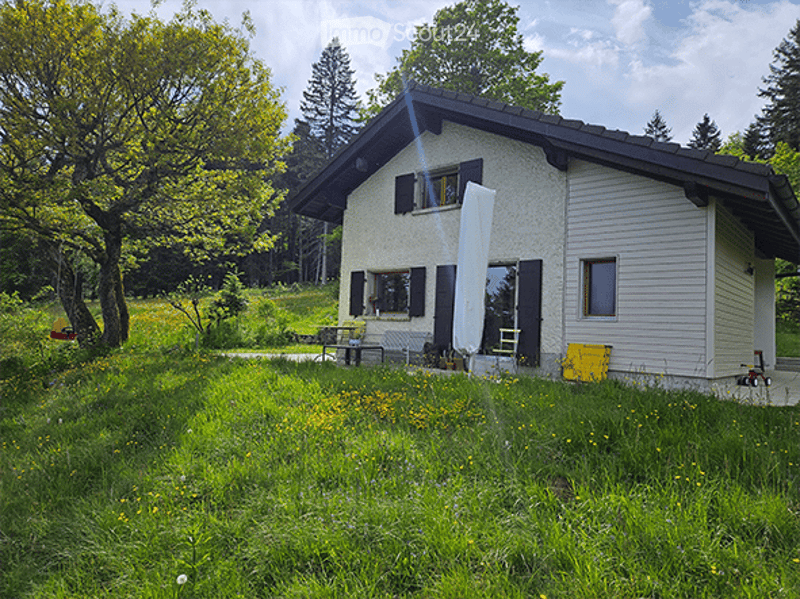 Single-story house with white siding, dark roof, multiple windows, and a covered patio area. The surrounding yard is lush with green grass and yellow flowers, and there are trees in the background.
