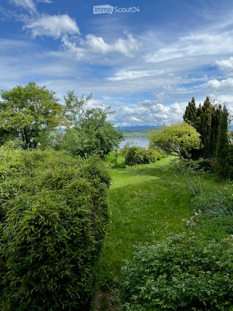 Green grass, shrubs, and trees, body of water, mountain range
