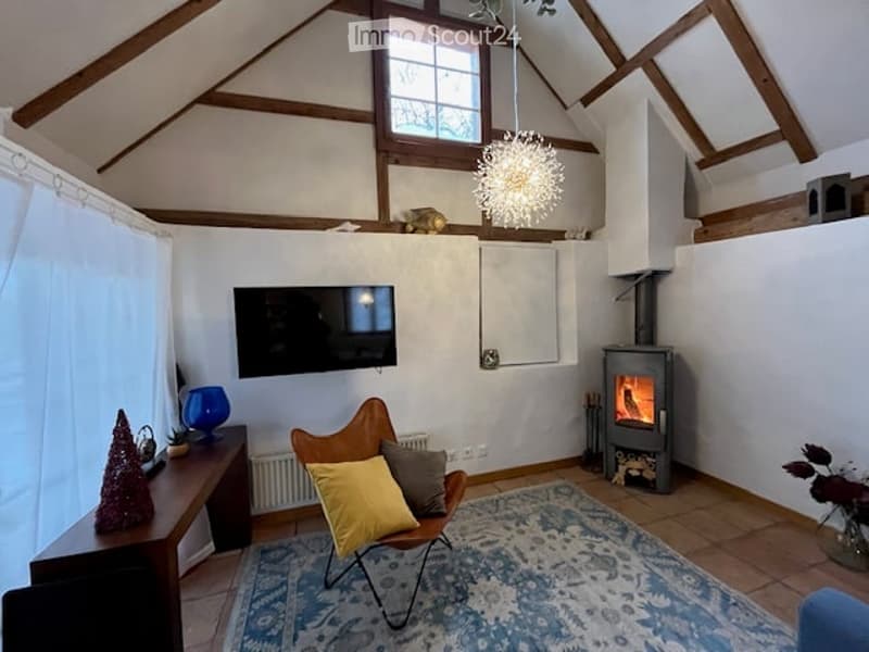 Fireplace, radiator, carpet, chair, television, table, lamp, flower