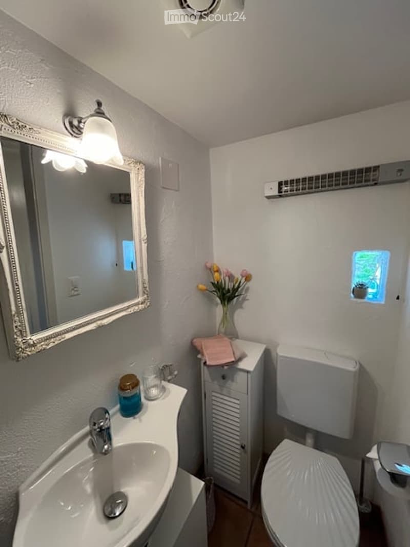 White wall, large mirror, sink, toilet, small flower vase, small cabinet, mirror with decorative frame