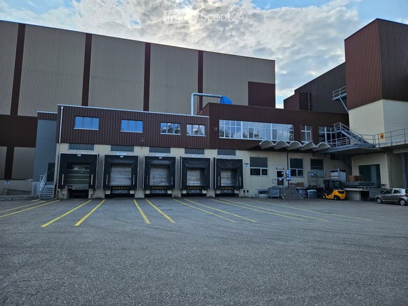Large industrial building with multiple loading docks, large windows, and a spacious parking lot.