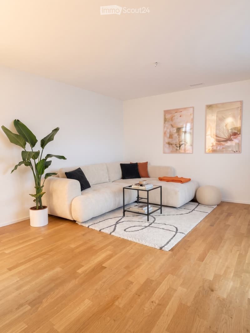 3,5-Zimmer Attikawohnung (1)