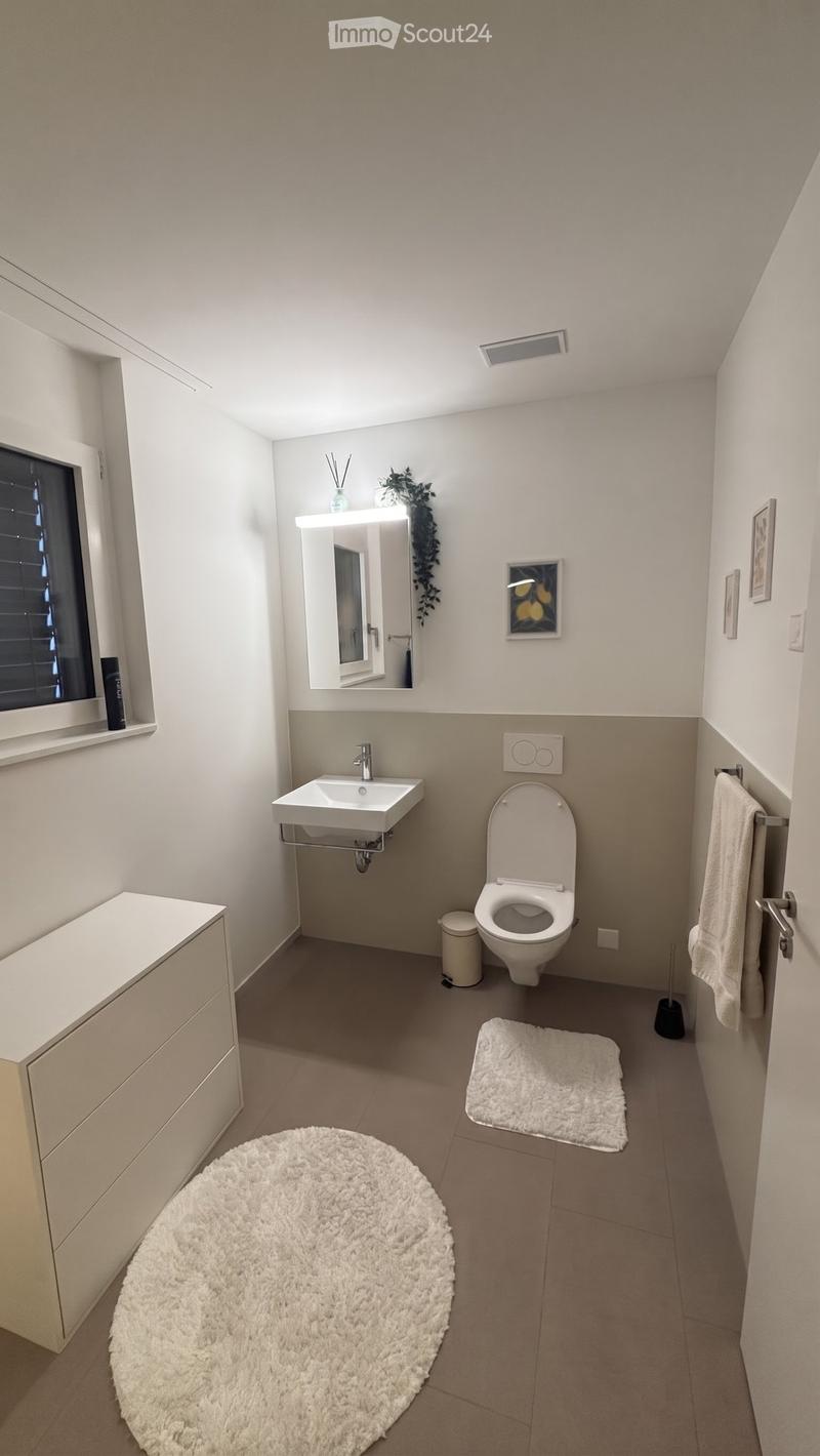 Modern bathroom with a white sink, toilet, mirror, and two round white rugs on the floor. A small cabinet is on the left, and a towel hangs on a rack near the door.