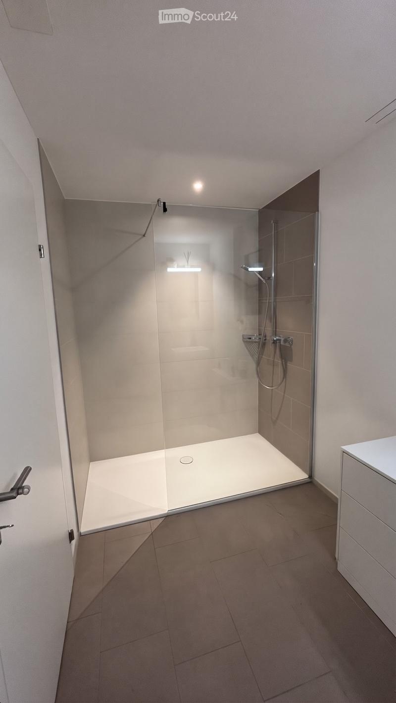 Modern bathroom with a glass-enclosed shower stall, tiled walls, and a built-in cabinet.