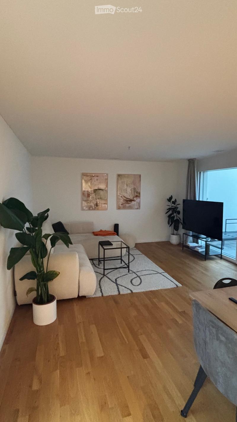A modern living room with a white sofa, small black table, TV, and large potted plant. The room features wooden flooring and large windows with a view.
