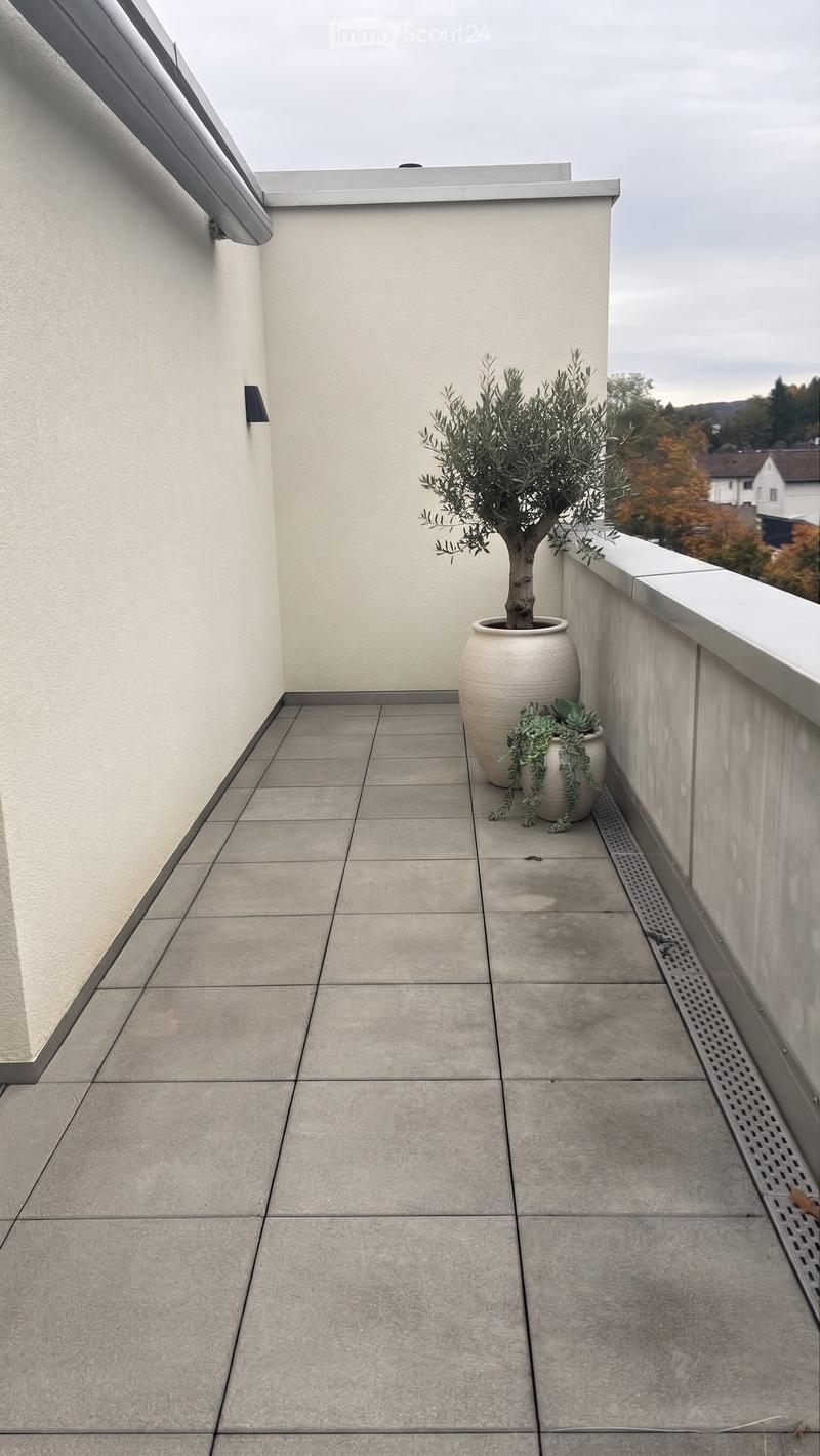 Balcony with tiled floor, white walls, and a potted olive tree near the railing.