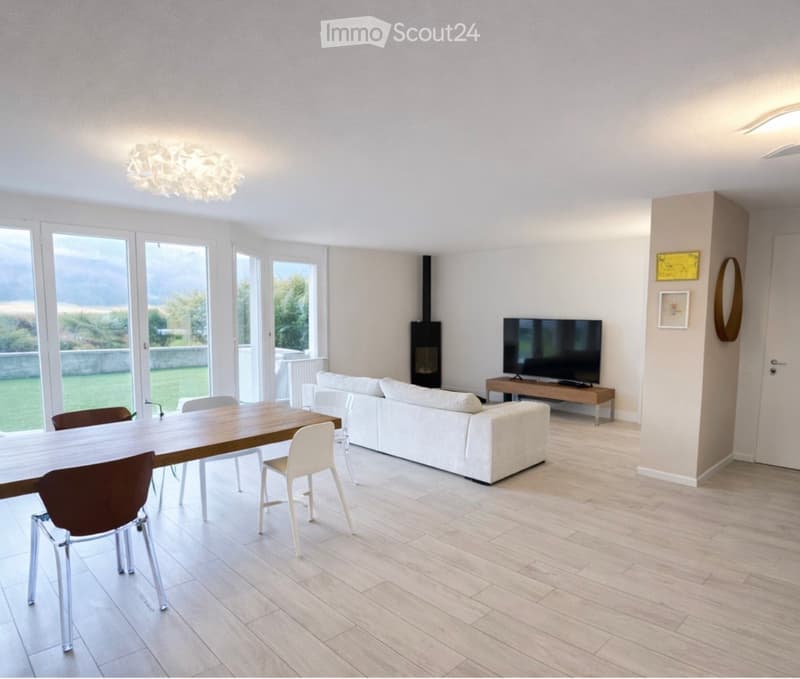 dining area with table, dining chairs, living room area with couch, coffee table, TV, fireplace
