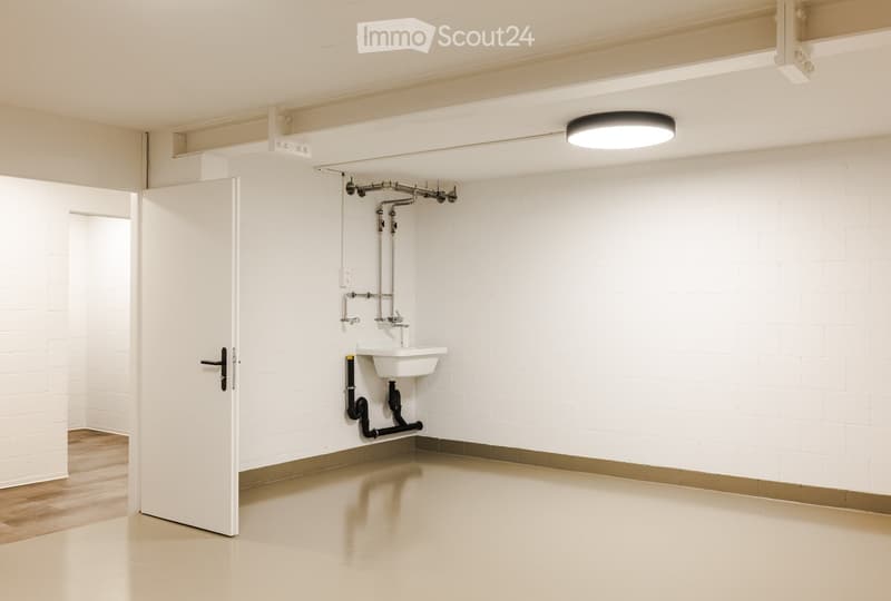 Empty room with white brick walls, wooden flooring, a single sink with exposed pipes, and a round ceiling light fixture.
