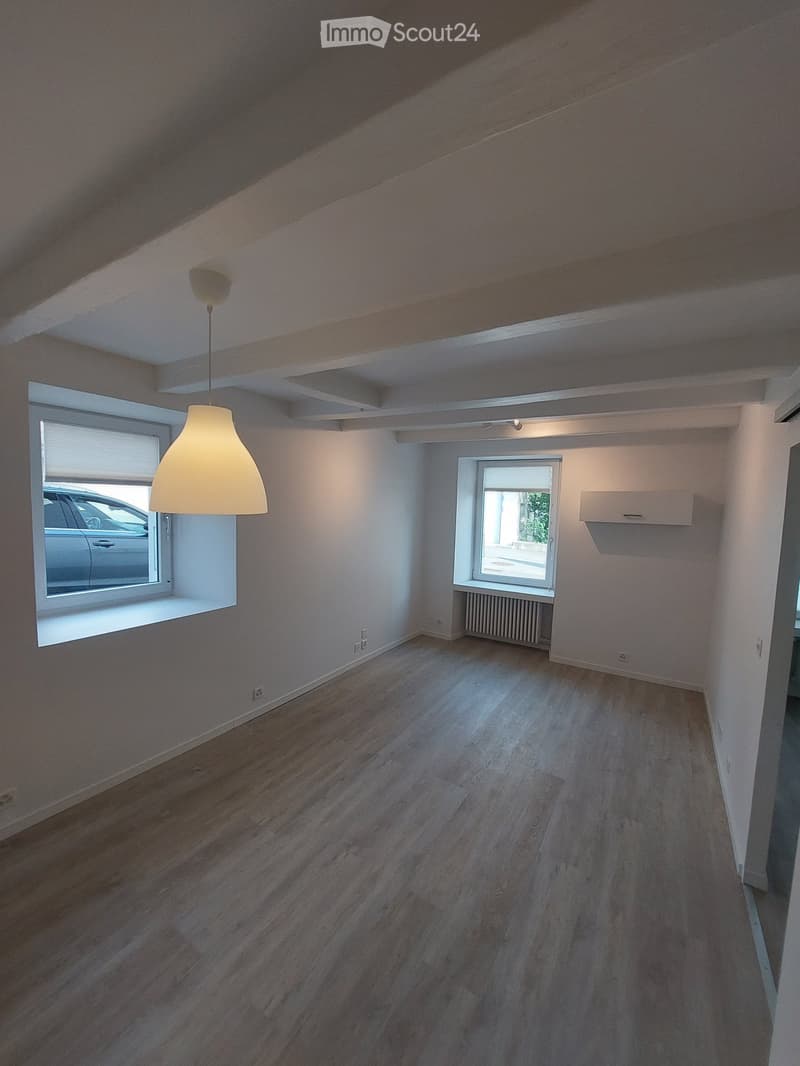 Empty room with wooden flooring, white walls, and two windows. A hanging lamp is visible, and there is a radiator under one window.