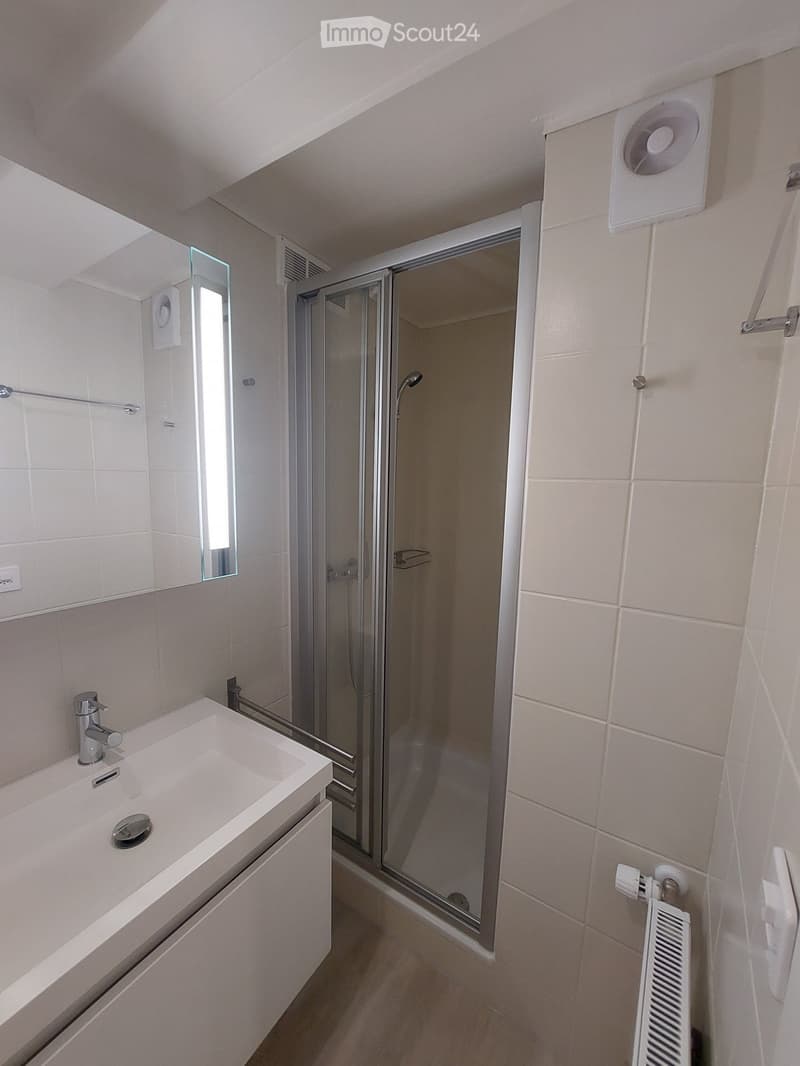 Modern bathroom with a white sink, chrome faucet, mirror, glass-enclosed shower, and a radiator.