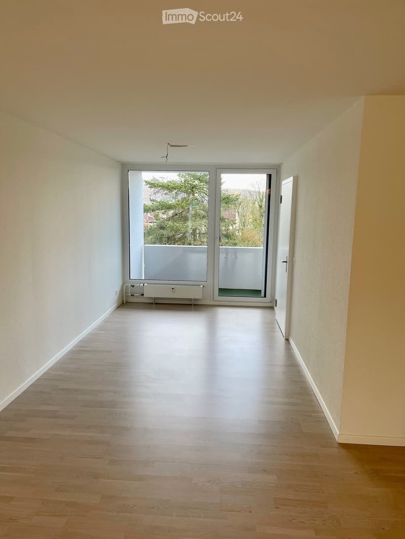 Empty hallway with light wooden flooring, white walls, and a large sliding glass door leading to a balcony area.